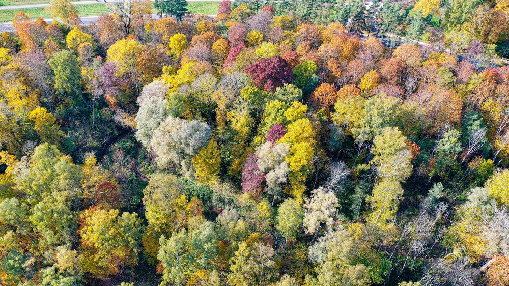 Photograph by AVIC A.M.