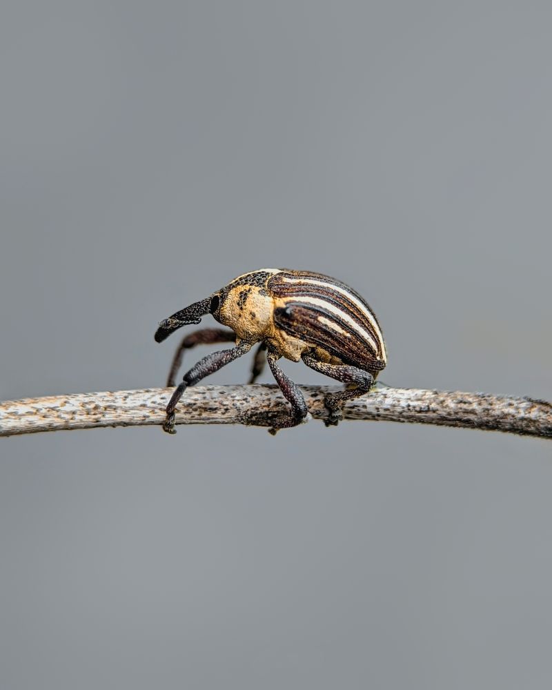 Фотография автора Prabhashwara PSC