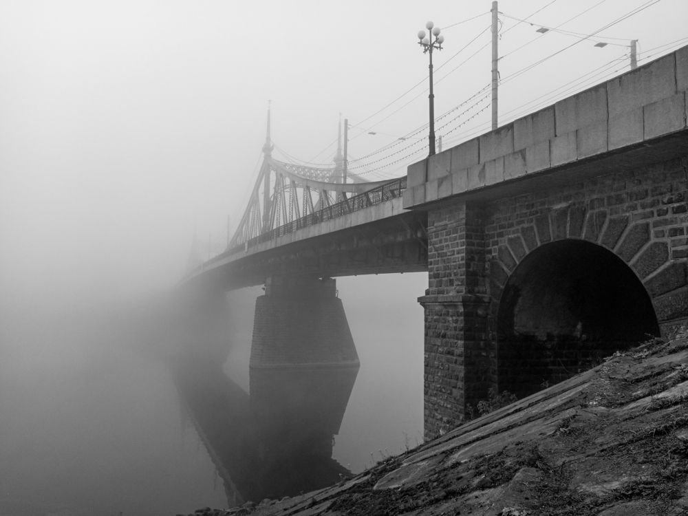 Уходящий в туман