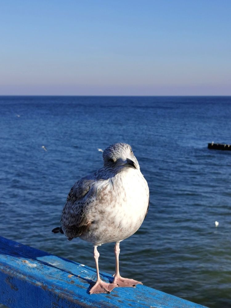 Photograph by Наталия Питолина