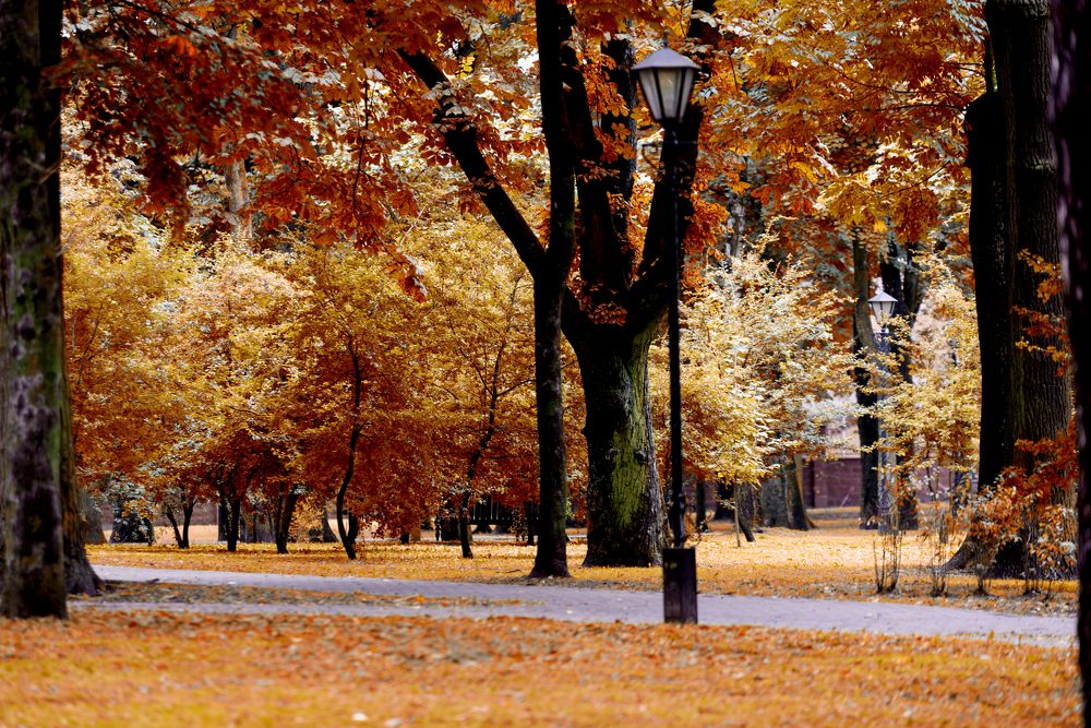 Photograph by Александр Падажецкий