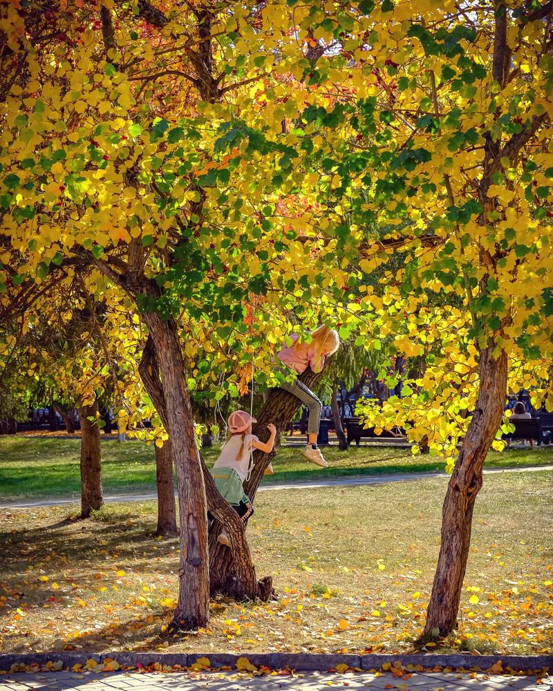 Photograph by Андрей Чернышов