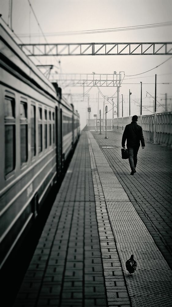 Photograph by Eлена Смирнова