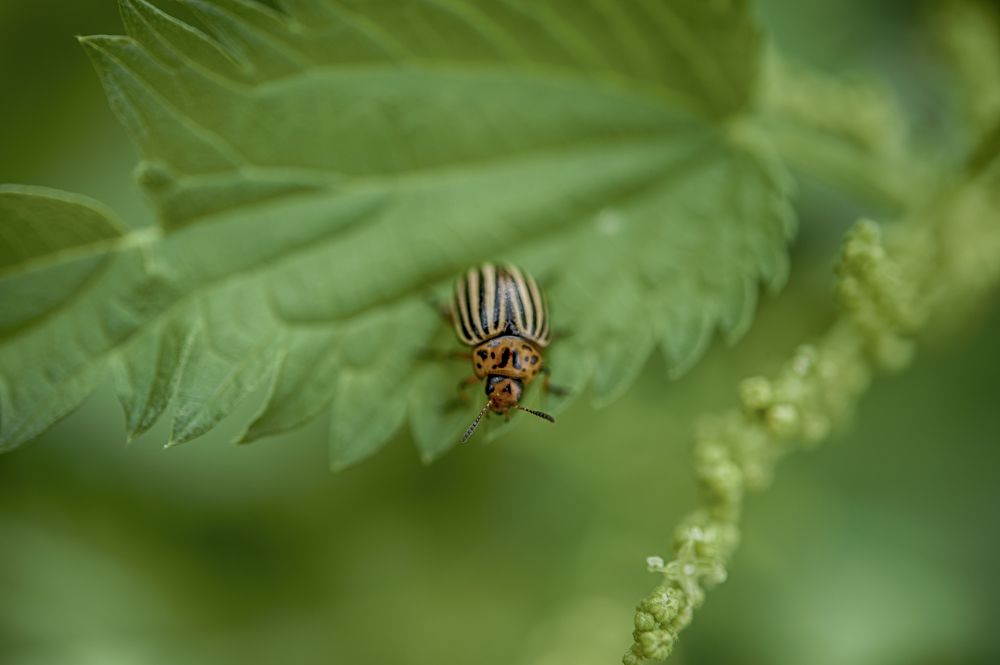 Photograph by Алексей Плахотин