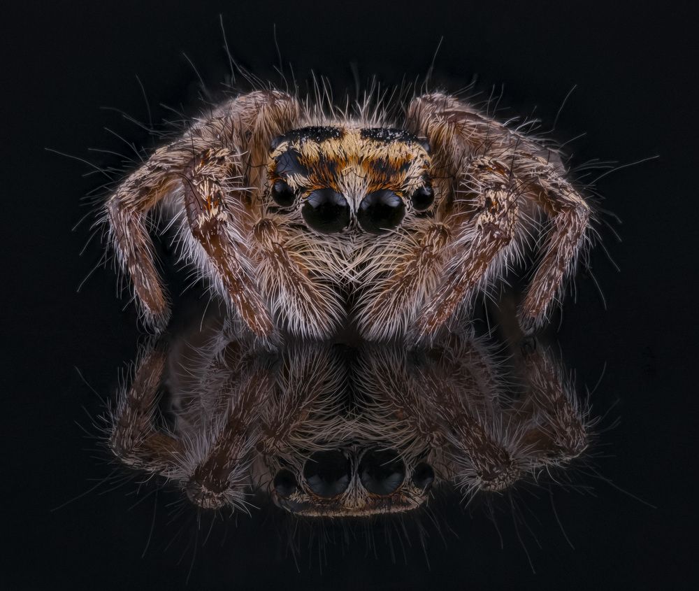 Photograph by Юрий Юрьевич