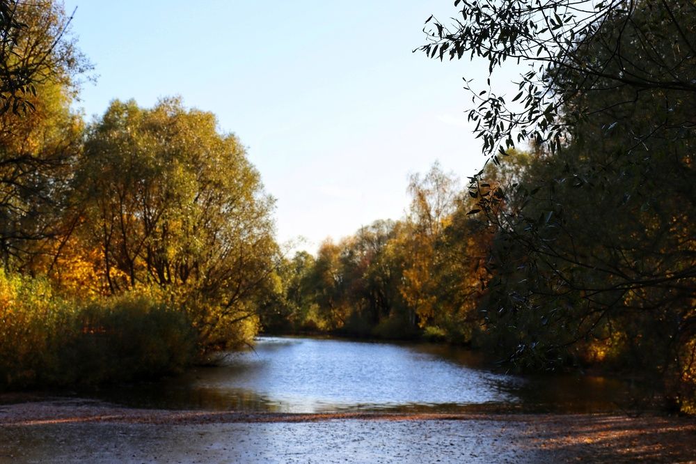 Photograph by Ирина Новицкая