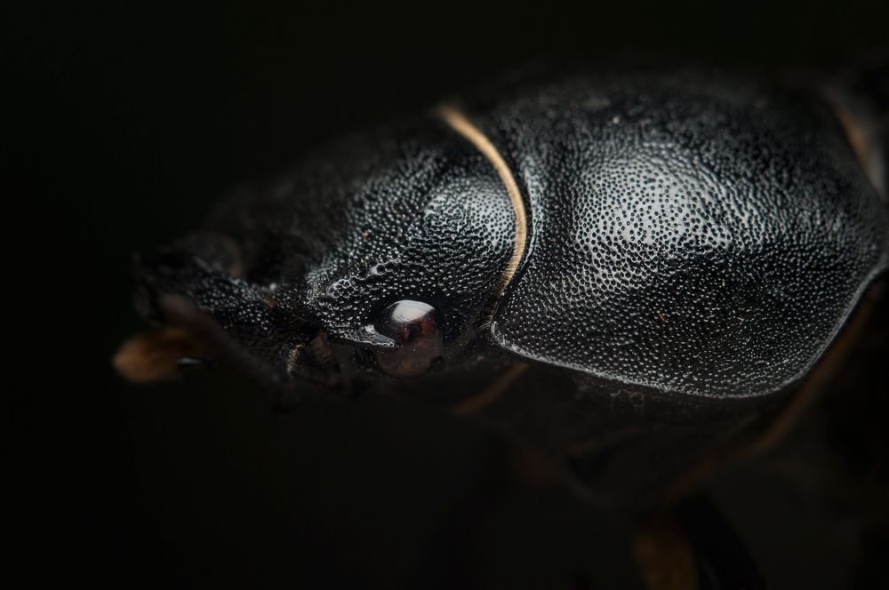 Photograph by Софья Лученкова