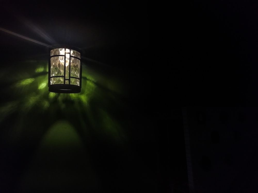 Photo #8154587