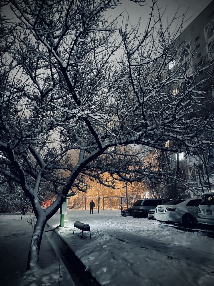 Photograph by Алексей Плахотин