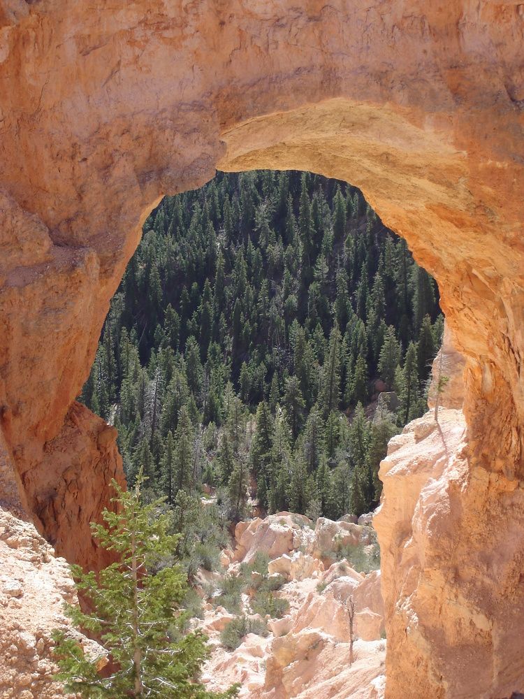 Photograph by Ирина