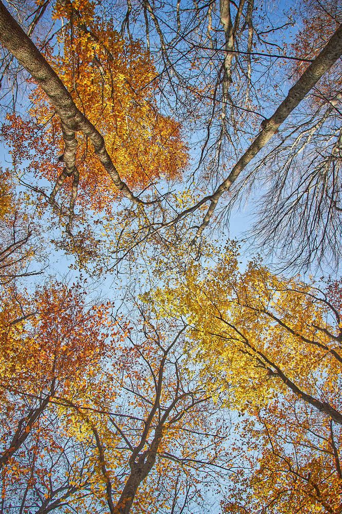 Photograph by Денис Будняк