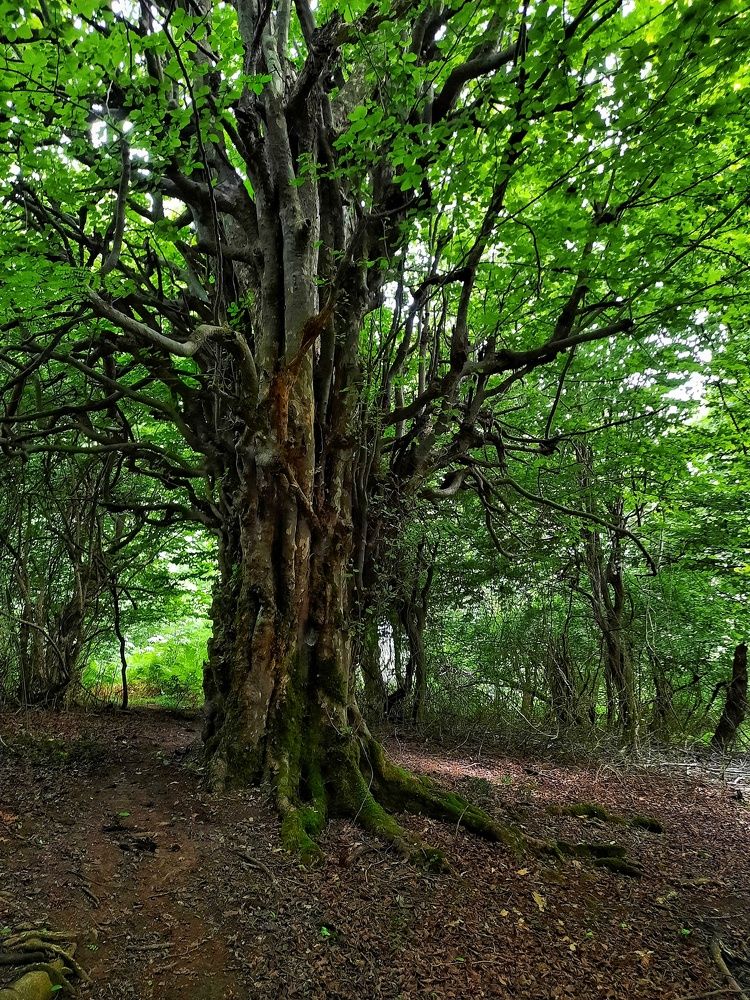 Photograph by Masoumeh Rahimi