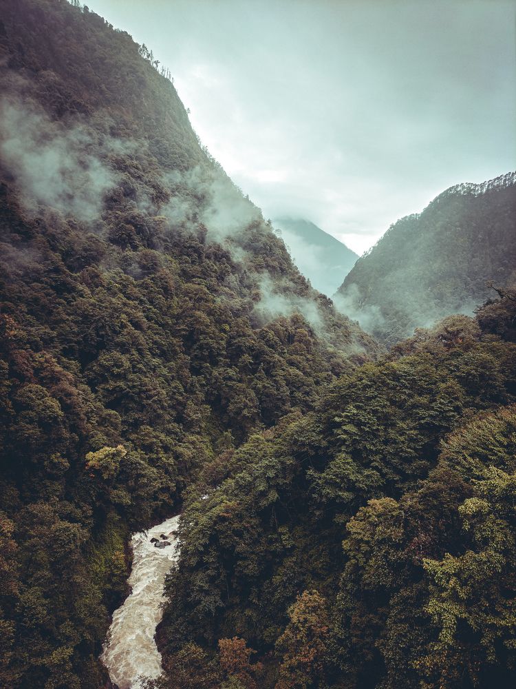 The Greens