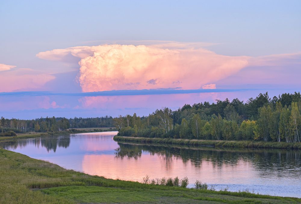 Розовая сказка