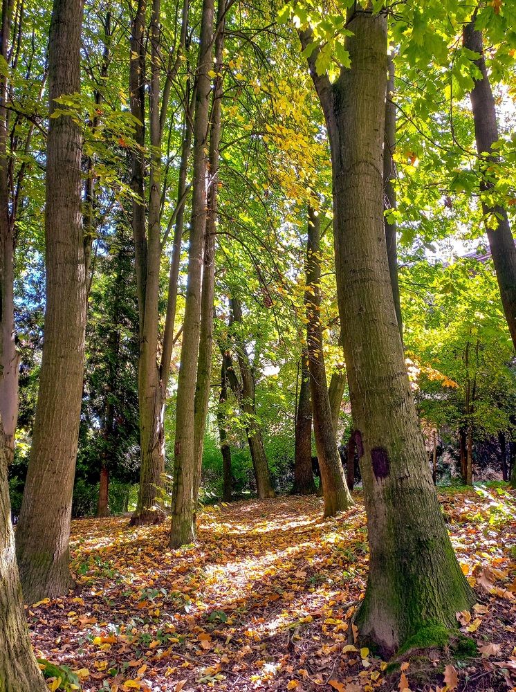 Photograph by Елена Шерман