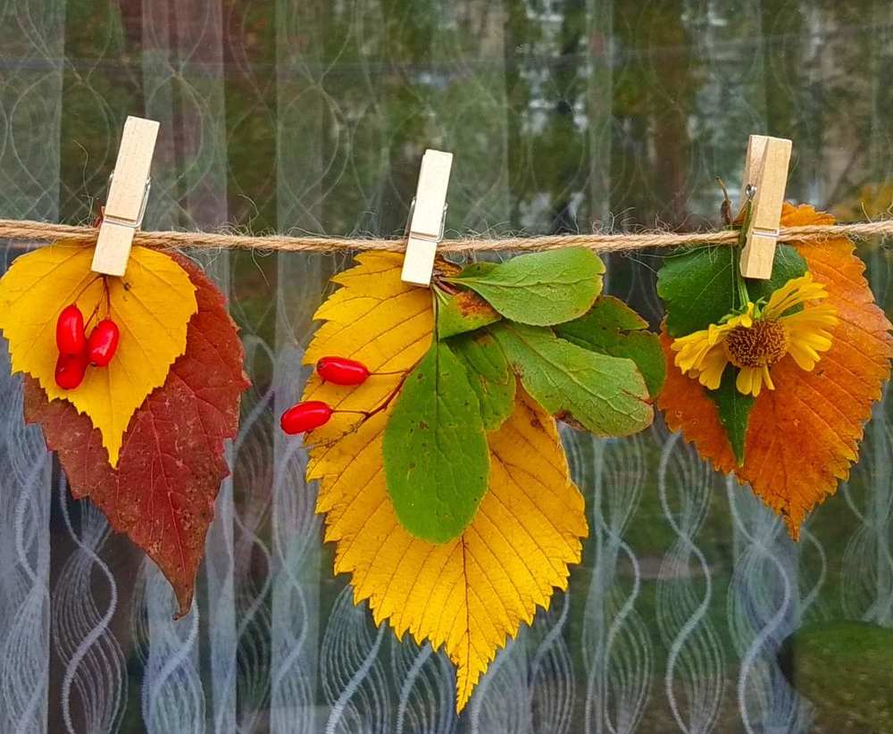 Фотография автора Галина Бобкина