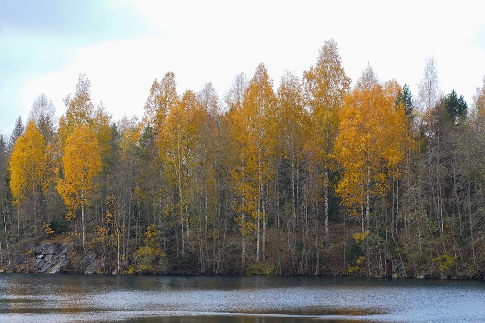Photograph by Павел Глазков