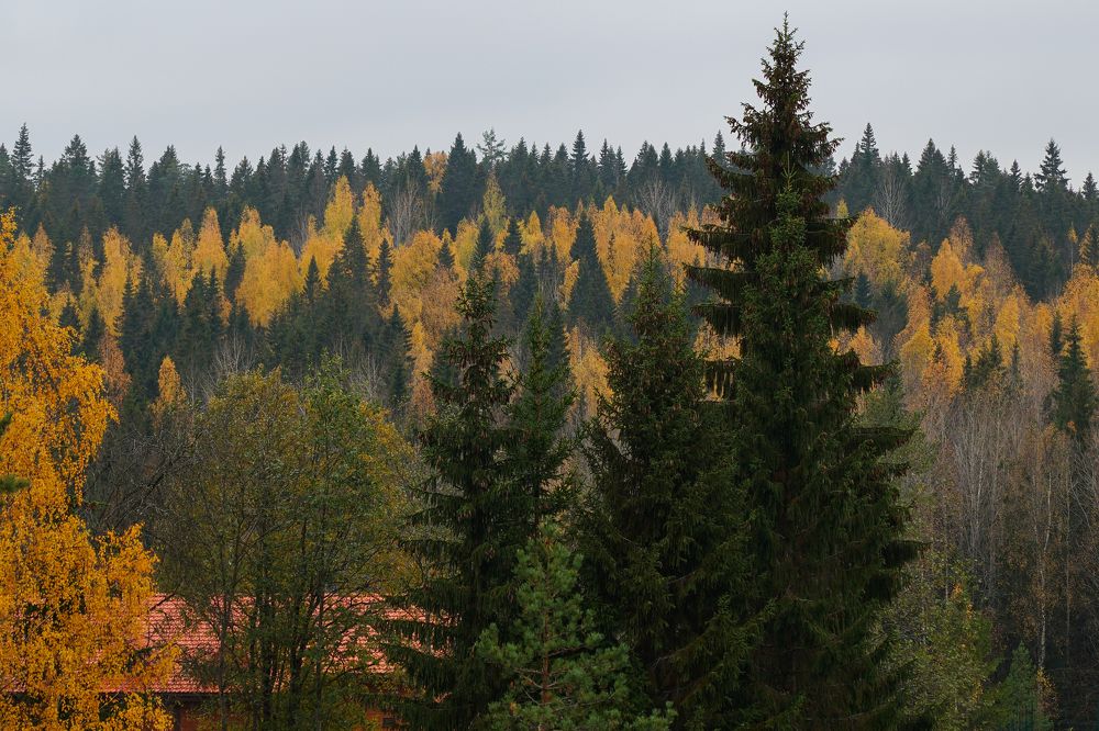 Photograph by Павел Глазков