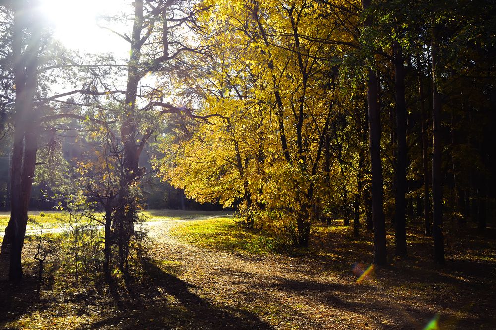 Photograph by Алексей Парамонов