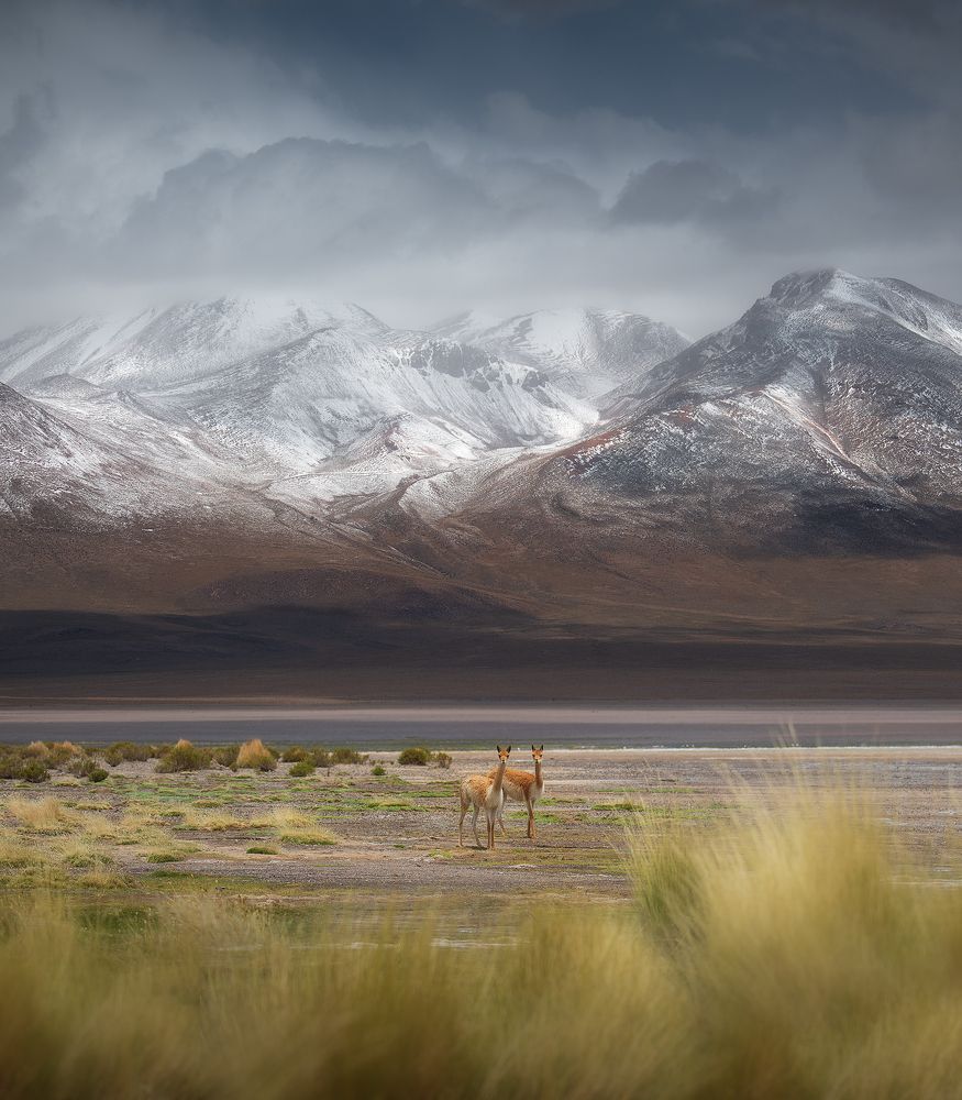 На другом конце света....