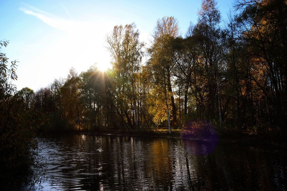 Photograph by Ирина Новицкая