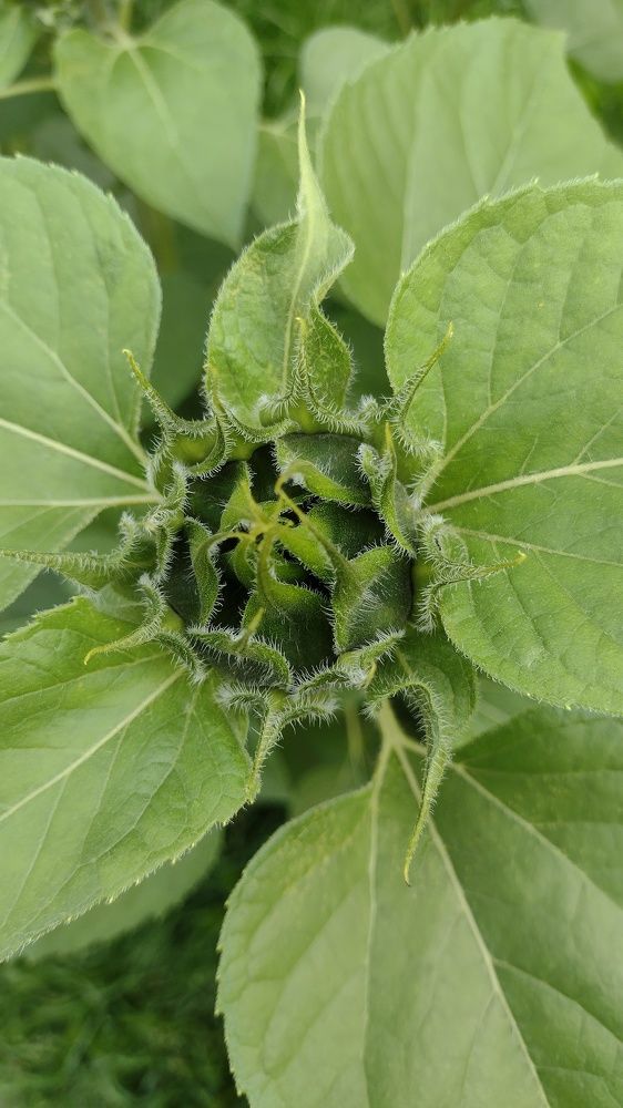 Photograph by Anastasia Kodatenko