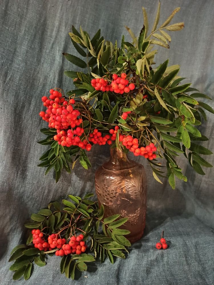 Photograph by Новикова Елена Сергеевна