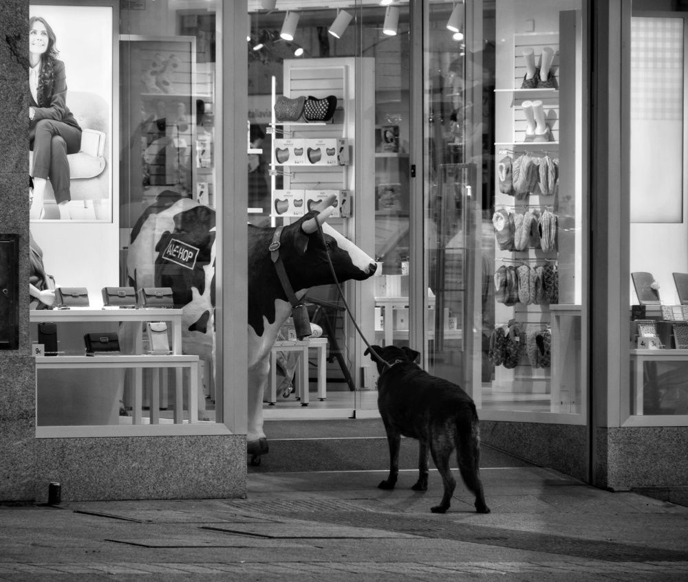 Photograph by José Ramón Domínguez