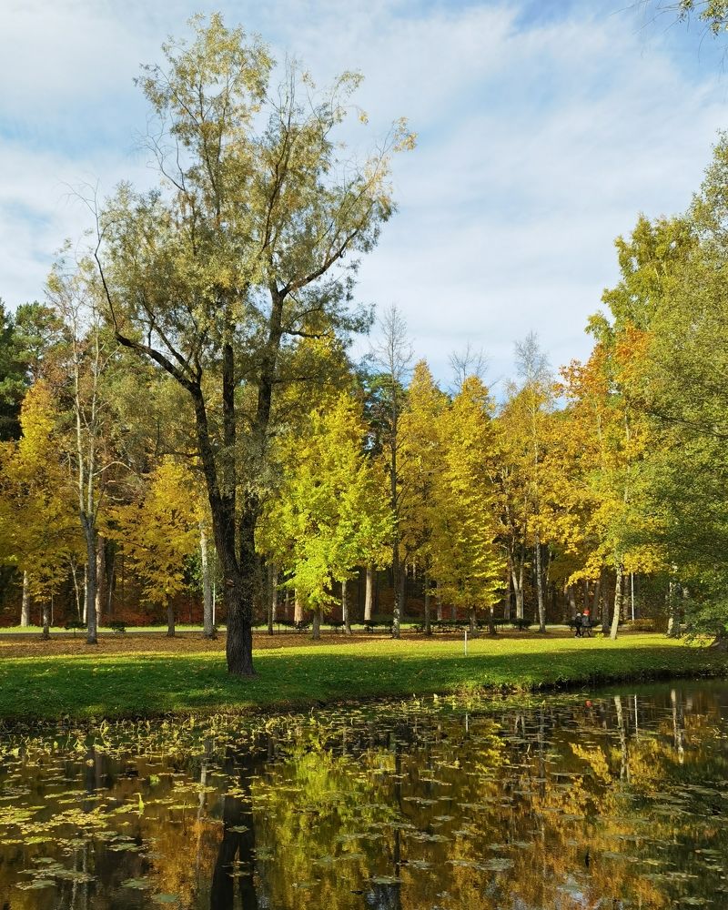 Photograph by Татьяна С