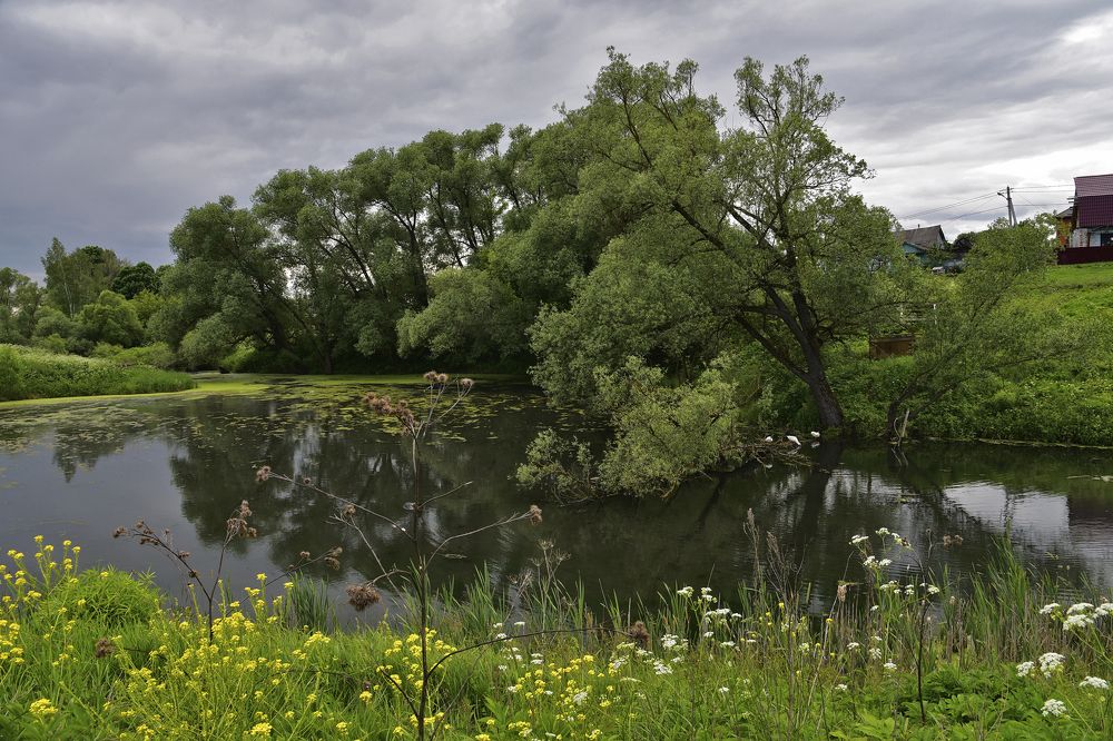 Пасмурный день в начале лета