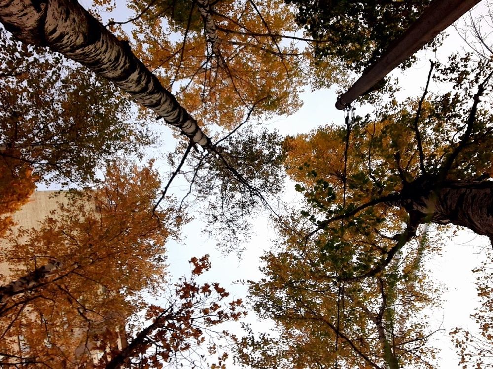 Photograph by Евгения Ульянова