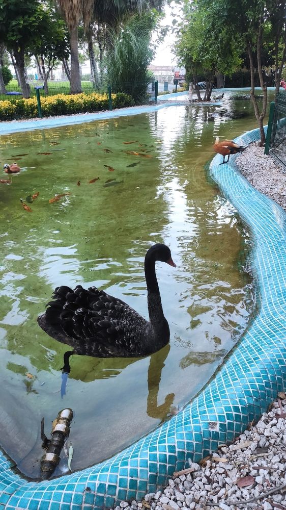 Photograph by Natalia Persidskaia