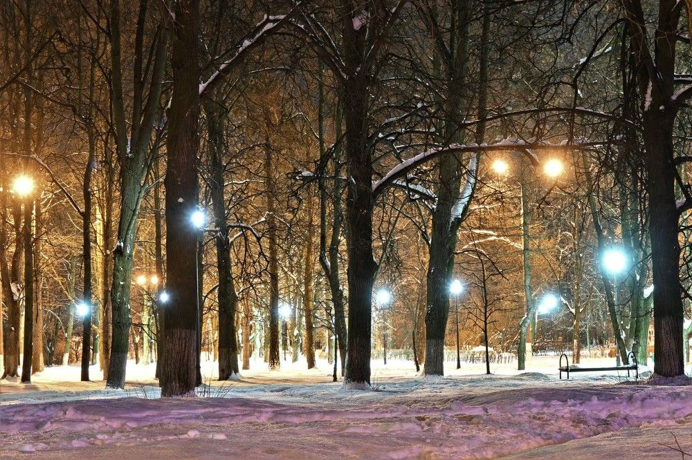 Фотография автора IRINA FILIPPOVA