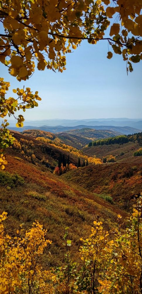 Photograph by Sergey