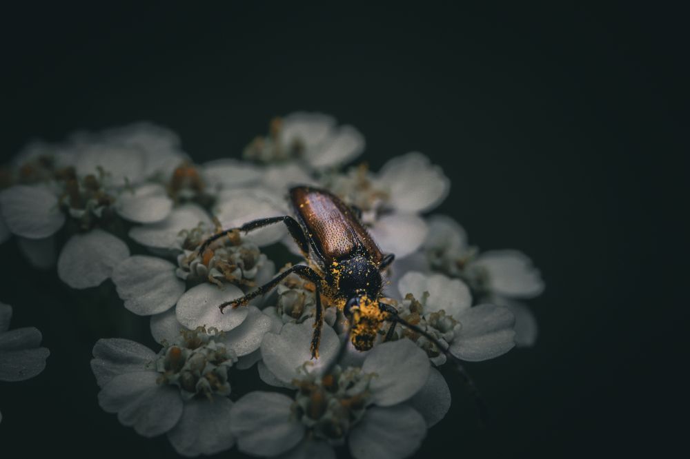 Photograph by Alexander Lukin