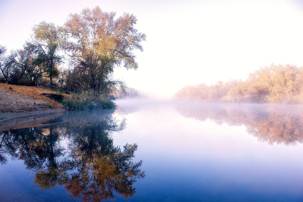 Photograph by Алексей Тимофеев