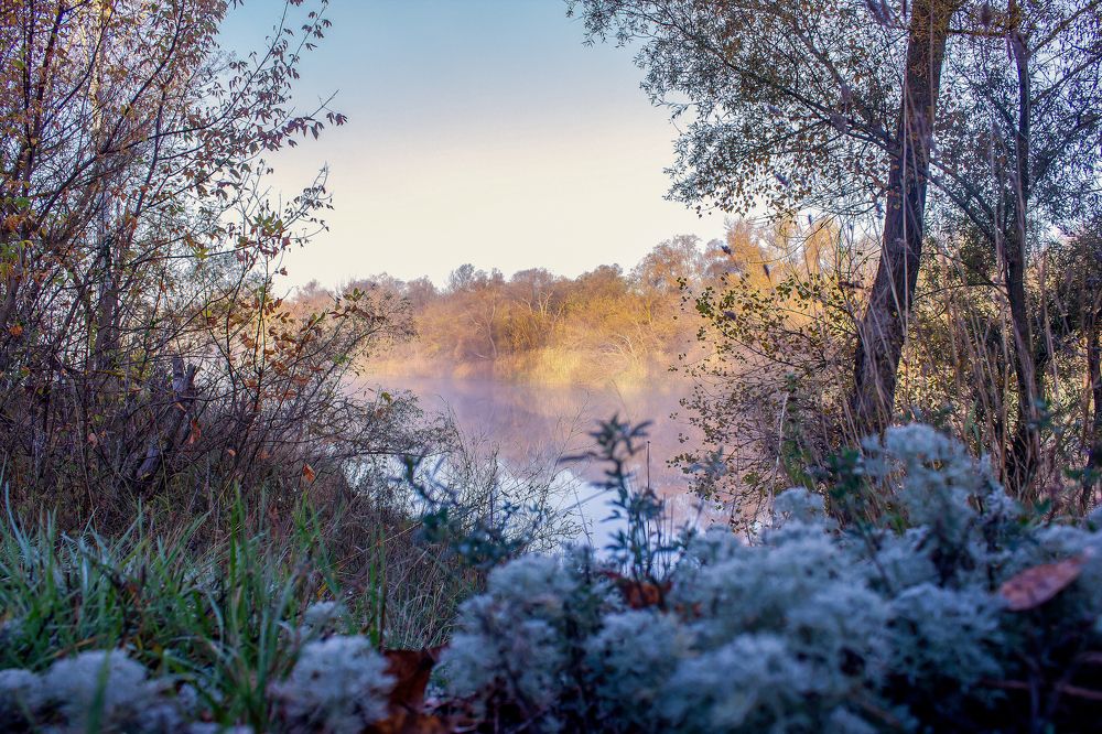 Photograph by Алексей Тимофеев