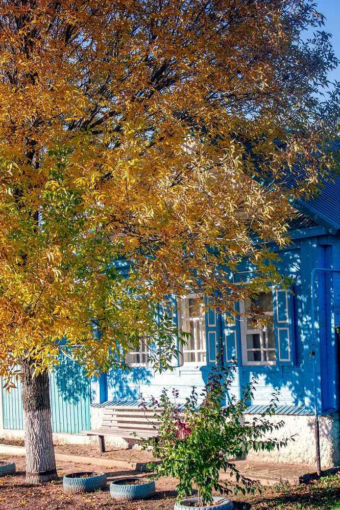 Photograph by Алексей Тимофеев