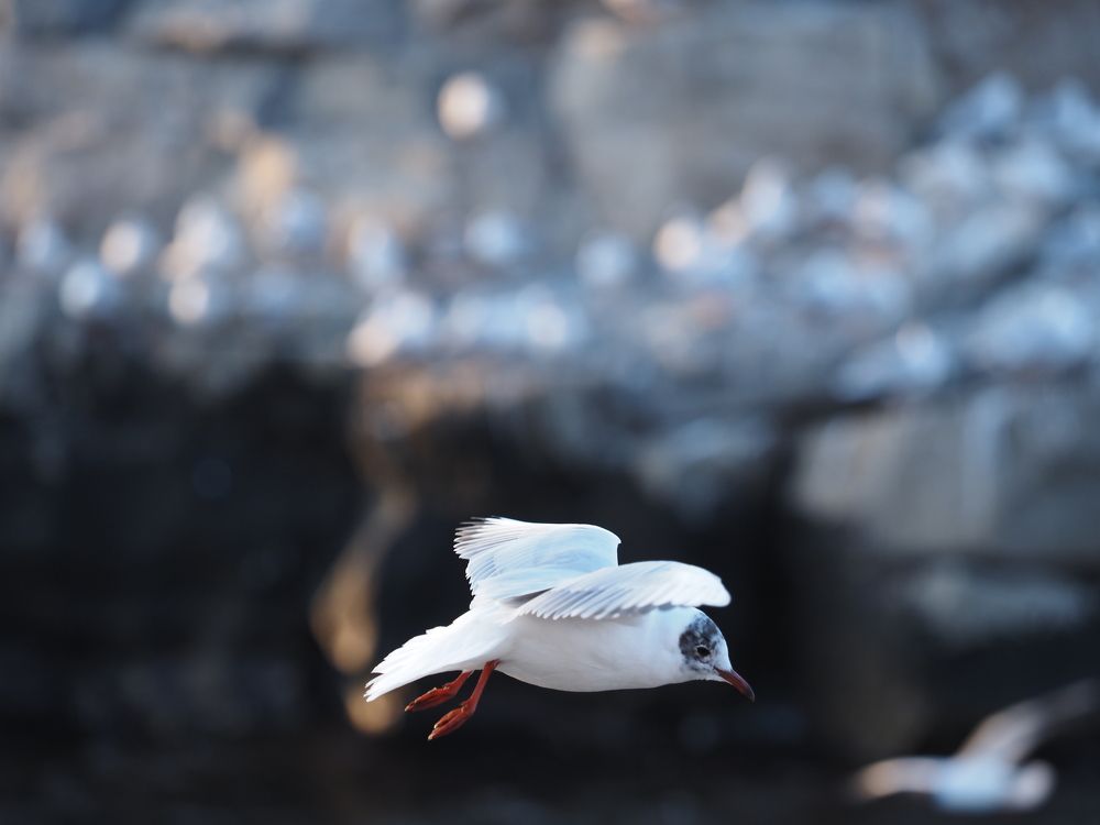 Photograph by Сергей Борисов