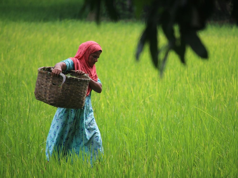 Photograph by Md. Jumen Khan