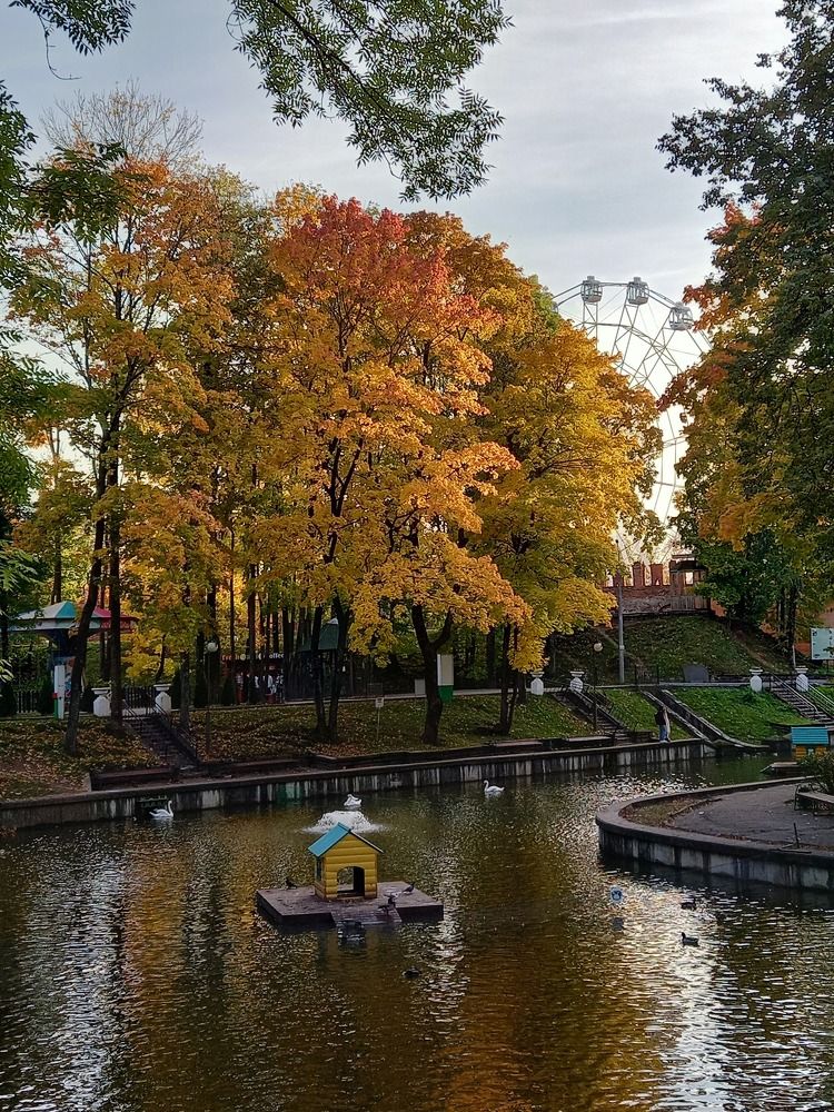 Photograph by Ольга