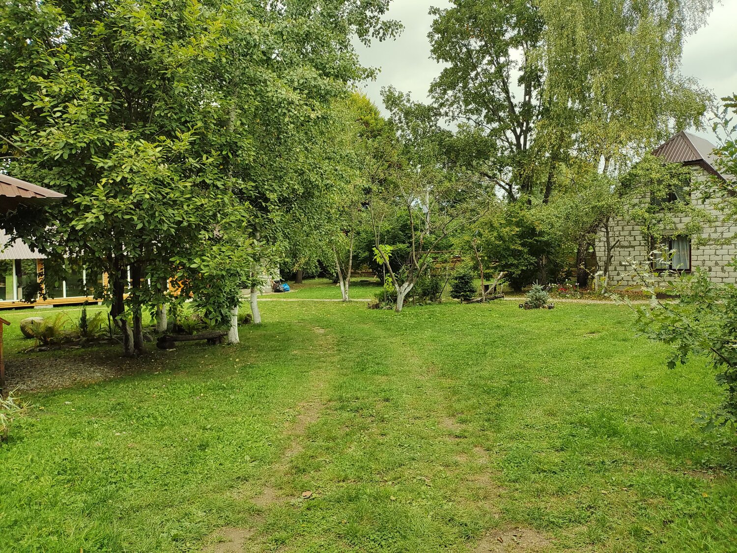 Photo #8155418