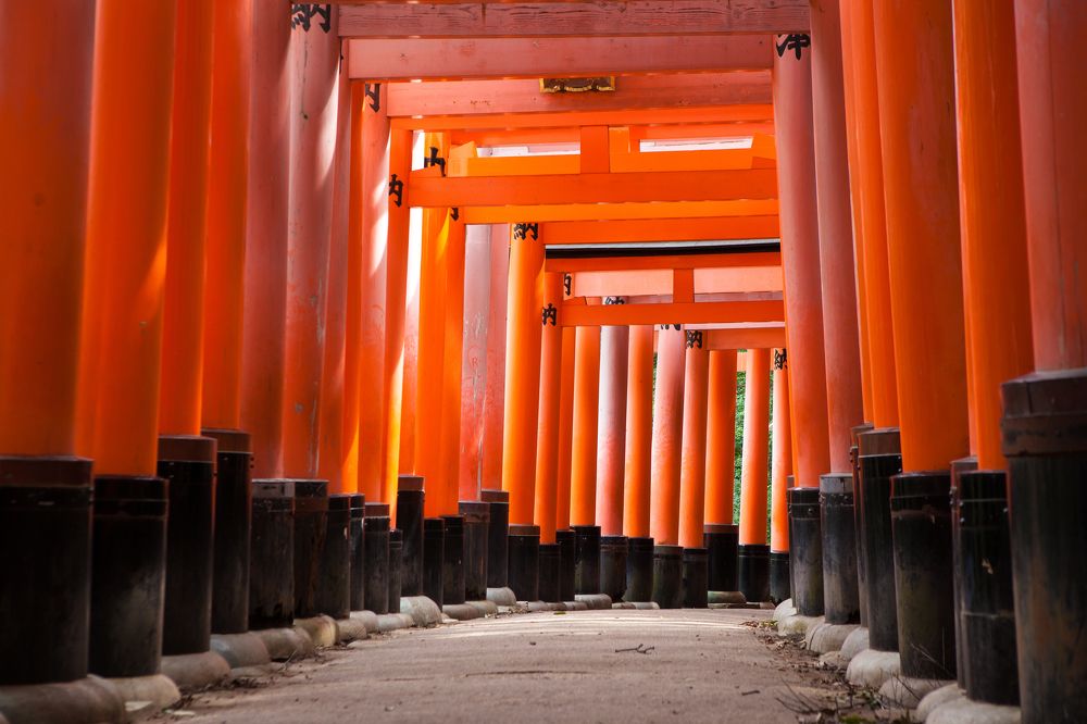 Фотография автора Dmitry Shterenberg