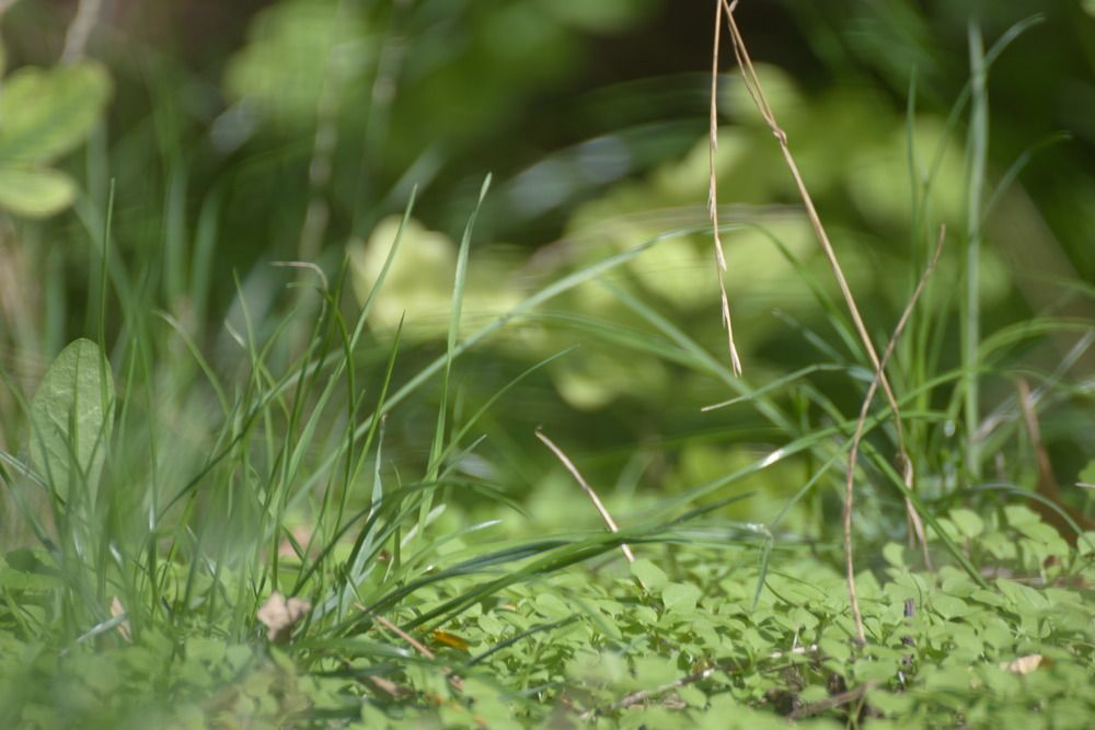 Photograph by Башлаев Константин