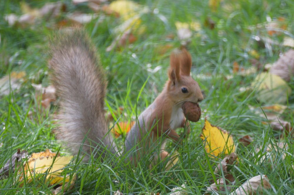 Photograph by Башлаев Константин