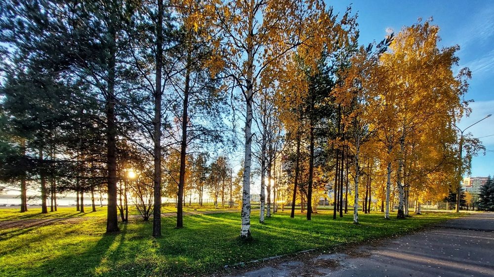 Photograph by Ирина Лучинская