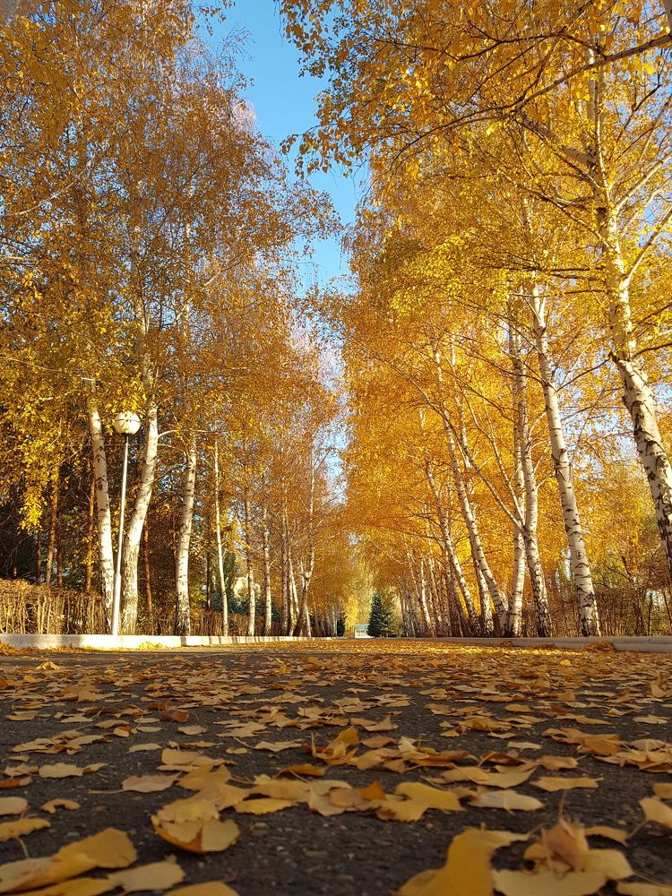 Photograph by Наталья Анисимова