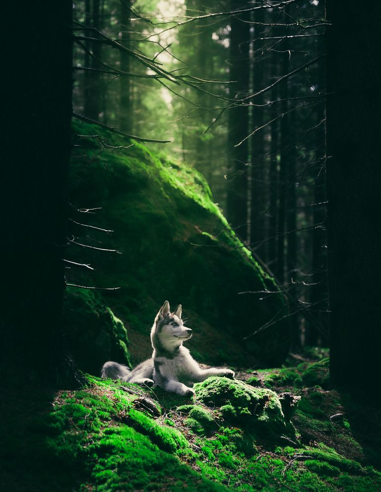 Photograph by Michał Maciak