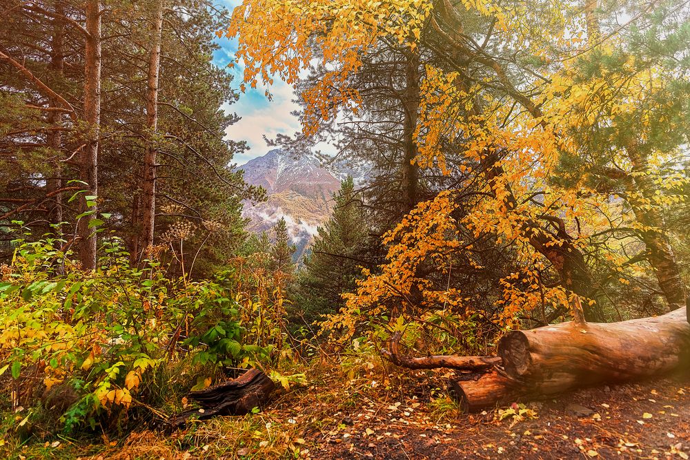 Photograph by Леонид Соснин