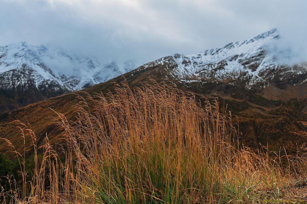 Photograph by Леонид Соснин